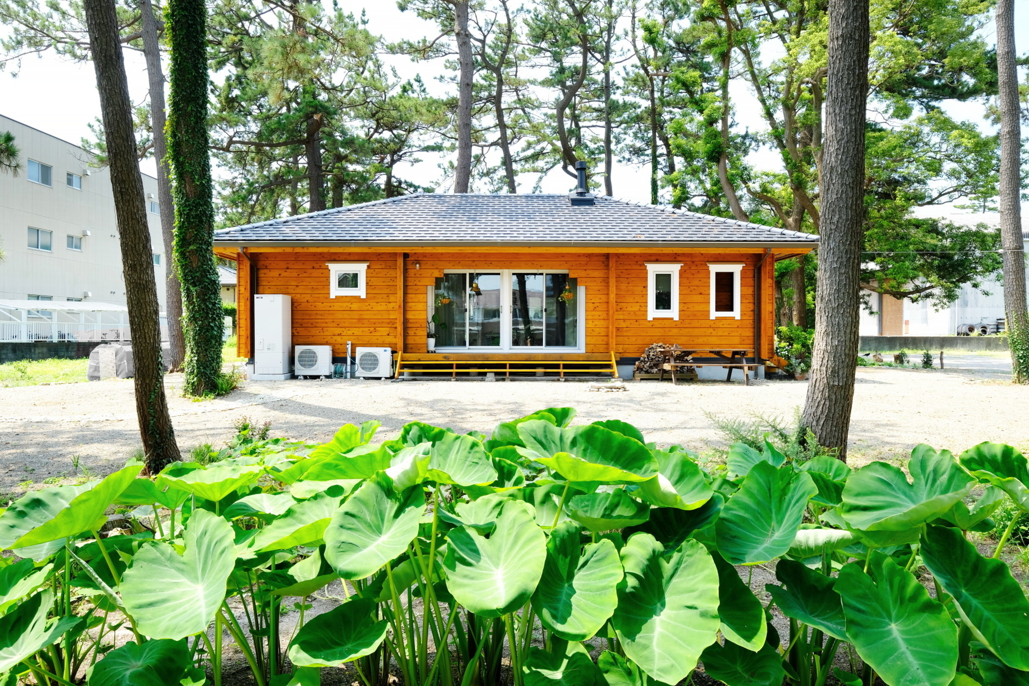 ログハウス ログハウス 丸太小屋 静岡県 静岡市 伊豆 木の家 ヒデホームズ